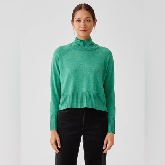 EILEEN FISHER Regenerative Wool Merino Jersey Turtleneck Top in Seaglass - Picture 1 of 11